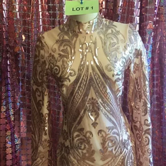 NWOT long sleeved dress with nude underlay & rose gold sequins throughout SM - Picture 3 of 14